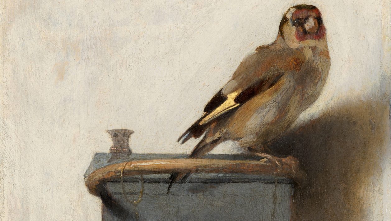 The Goldfinch by Dutch painter Carel Fabritius (1654), whose enigmatic art is unveiled in Laura Cumming’s captivating memoir.. Photo: Sepia Times/Universal Images Group/Getty