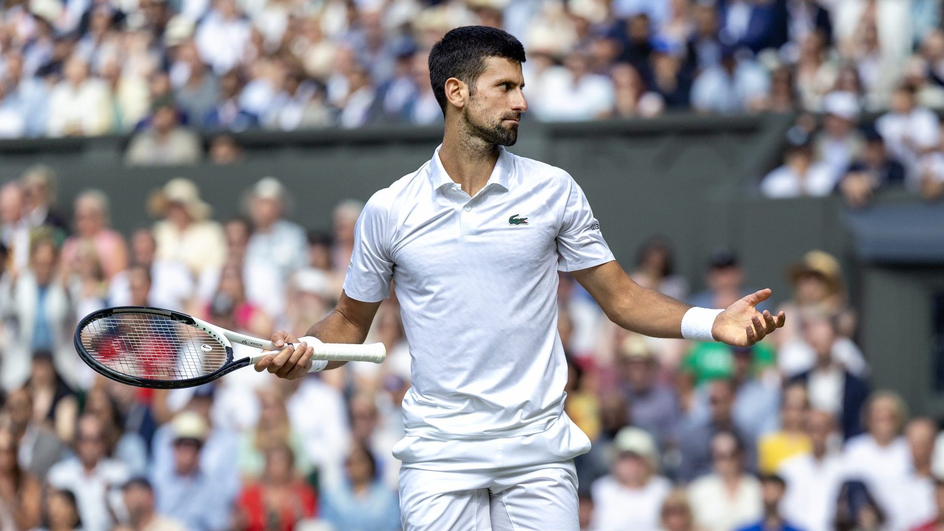 Novak Djokovic reacts during his match against Carlos Alcaraz in Gentlemen's Singles Final match of Wimbledon. Photo: Tim Clayton/Corbis via Getty Images