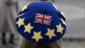 A pro-Europe demonstrator wears an EU flag/union jack beret. Photo: Mike Kemp/In Pictures/Getty