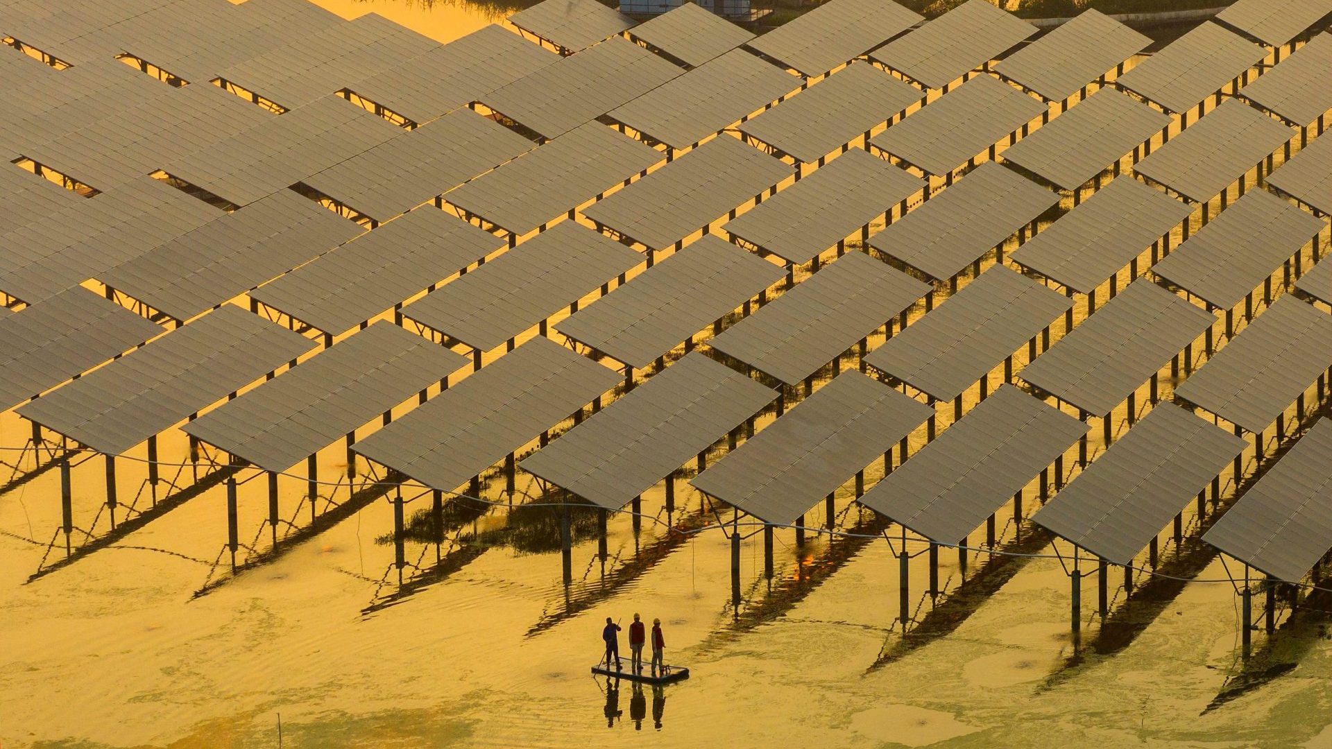 Workers inspect solar panels at a generation base in Taizhou, Zhejiang province. Photo: AFP/Getty