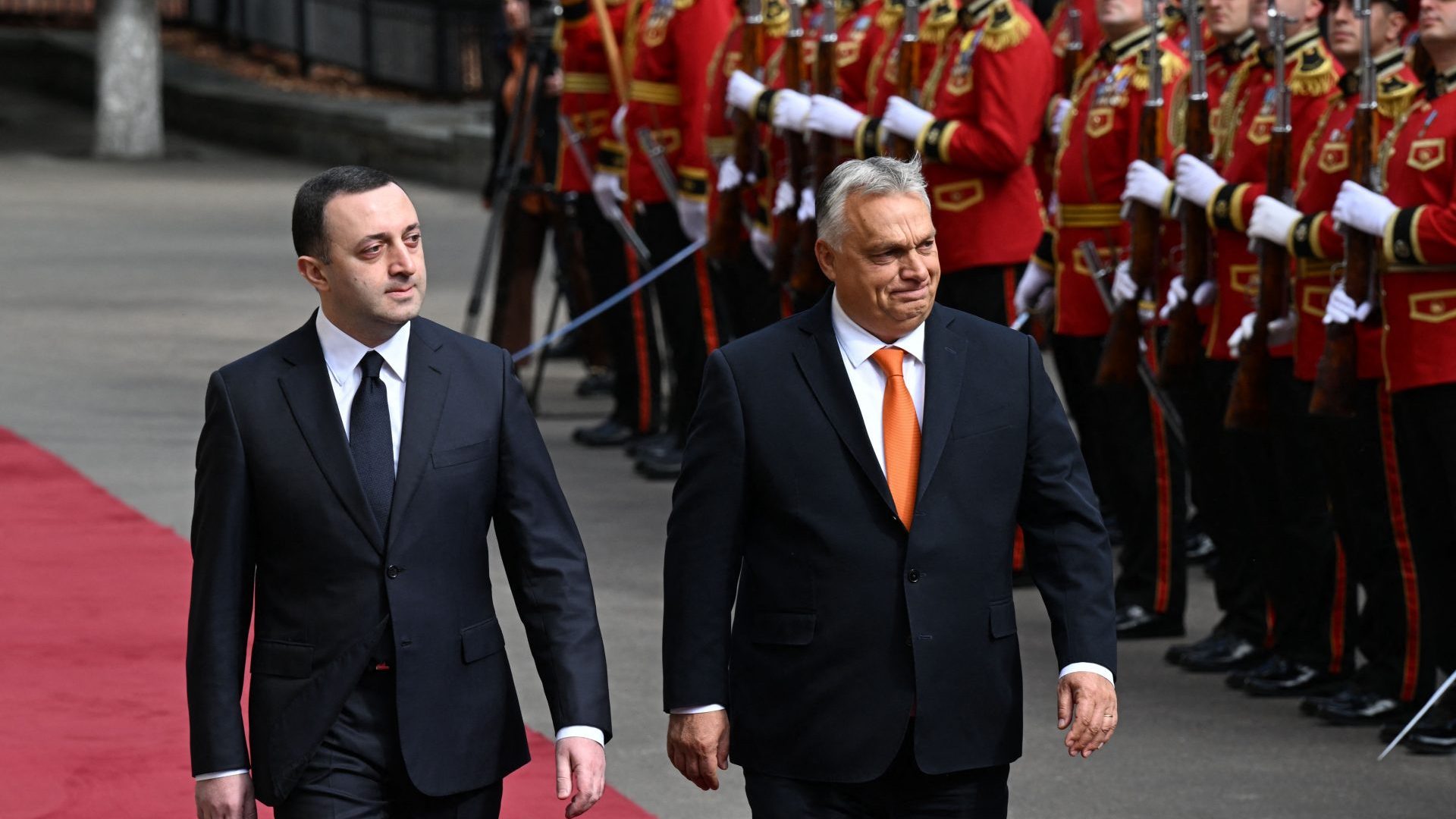 Georgian Prime Minister Irakli Garibashvili and visiting Hungary's Prime Minister Viktor Orban attend a welcoming ceremony in Tbilisi. Photo: VANO SHLAMOV/AFP via Getty Images