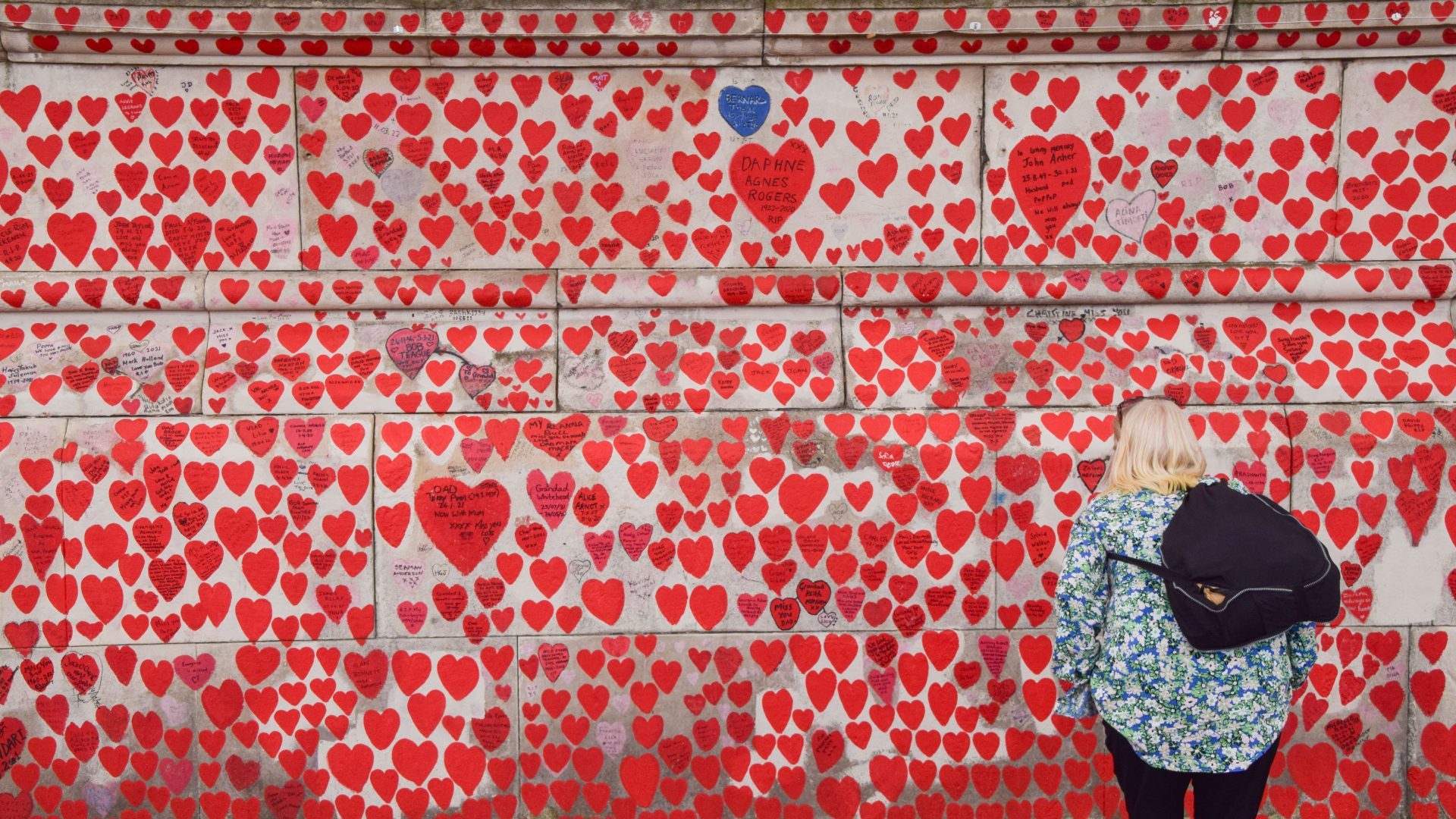 A woman reads tributes on the National Covid Memorial Wall in London as the UK Covid-19 inquiry continues. Photo: Vuc Valcic/SOPA Images/LightRocket/Getty