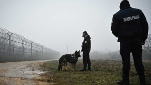 Bulgarian border police officers patrol with a dog in front of the border fence on the Bulgaria-Turkey border. Photo: NIKOLAY DOYCHINOV/AFP via Getty Images
