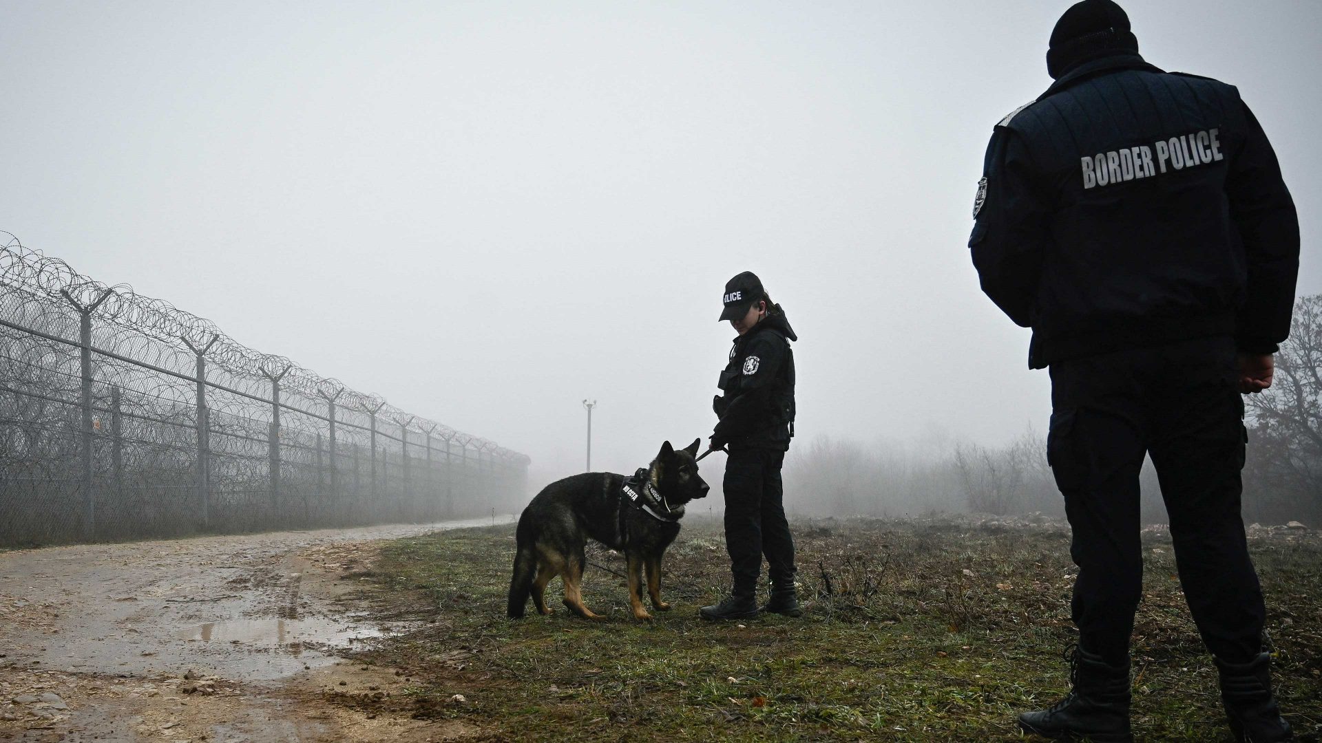 Bulgarian border police officers patrol with a dog in front of the border fence on the Bulgaria-Turkey border. Photo: NIKOLAY DOYCHINOV/AFP via Getty Images