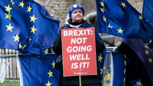 Pro-EU protesters demonstrate outside the Houses of Parliament. Photo: Jack Taylor/Getty