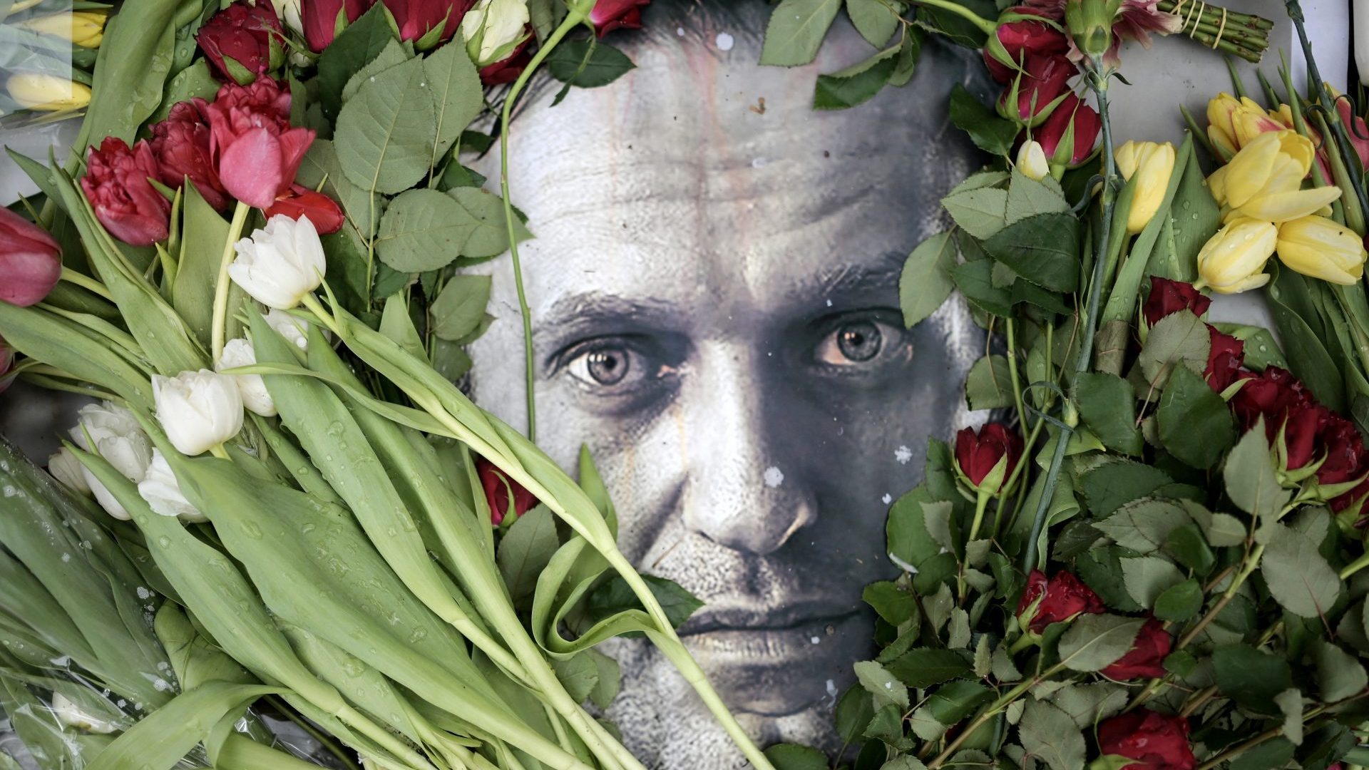 Flowers are placed around a portrait of the late Russian opposition leader, Alexei Navalny, at a makeshift memorial in Moscow. Photo: AFP,Getty