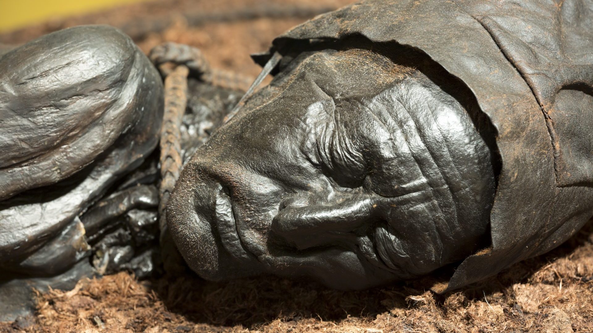 Ancient bronze statue of Tollund Man, a bog body from the Iron Age, at the Museum Silkeborg in
Denmark. Photo: Tim Graham/Getty