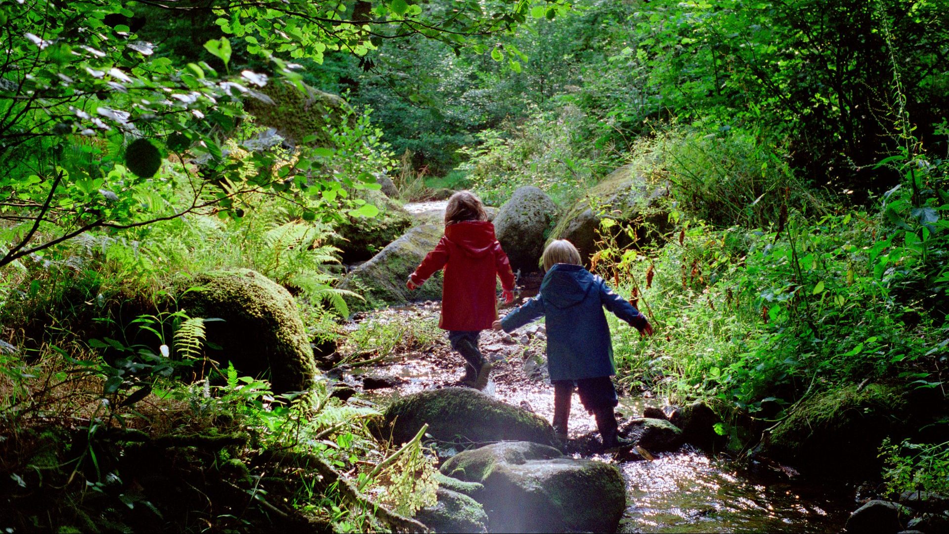 Clara Dupont-Monod’s new book And the Stones Cry Out tells the story of siblings growing up in the mountainous  Cévennes region of south-central France. Photo: Tim Graham/Getty