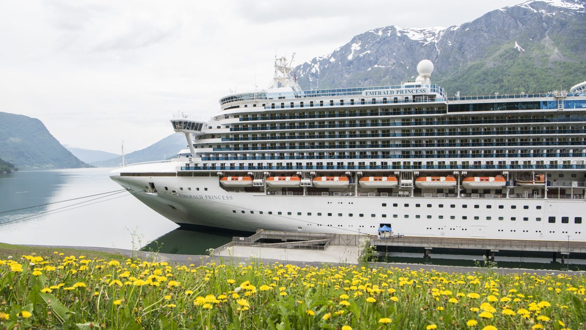 The Emerald Princess docks in Bergen, Norway.
A potential ban on cruise ships entering the fjords has now been shelved until at least 2035. Photo: James D Morgan/Getty