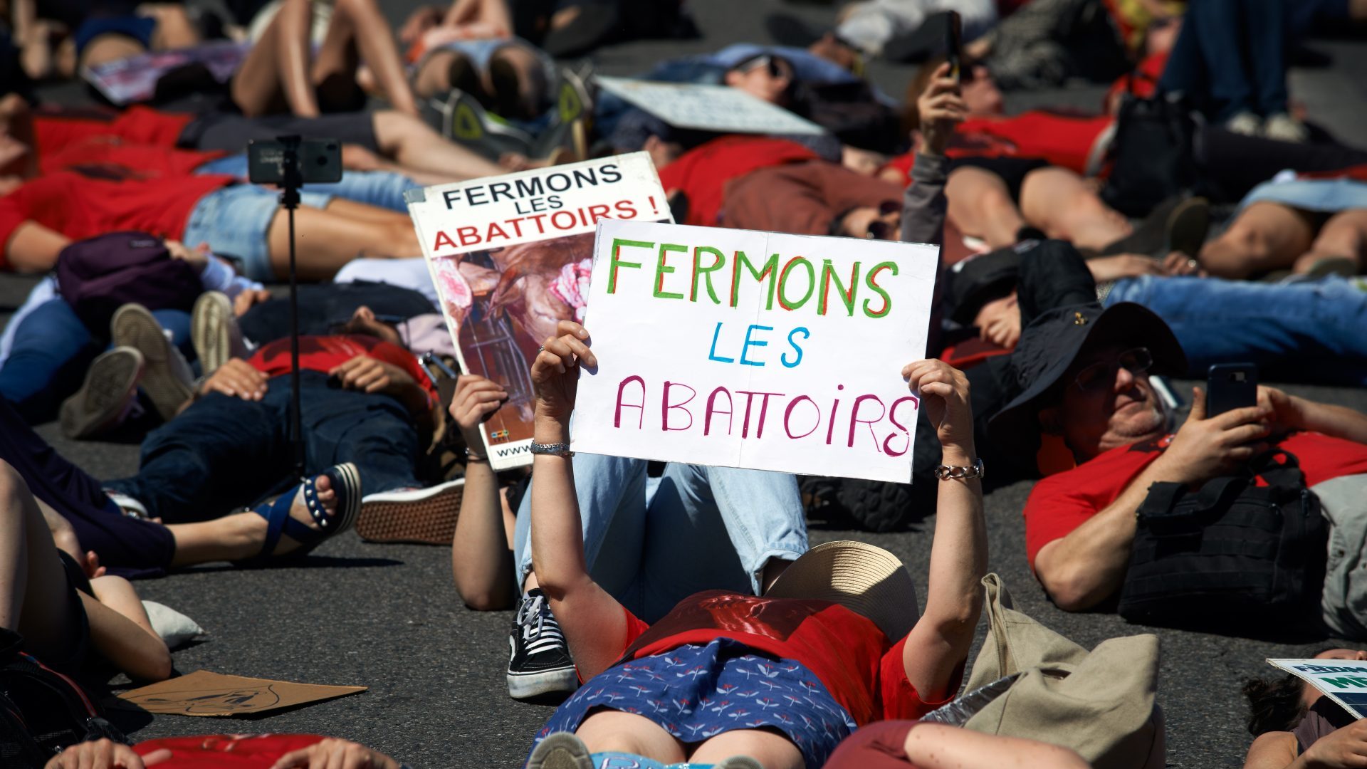 A woman hold a placard reading 'Let's us close slaughterhouses', June 2019. Photo: Alain Pitton/NurPhoto via Getty Images