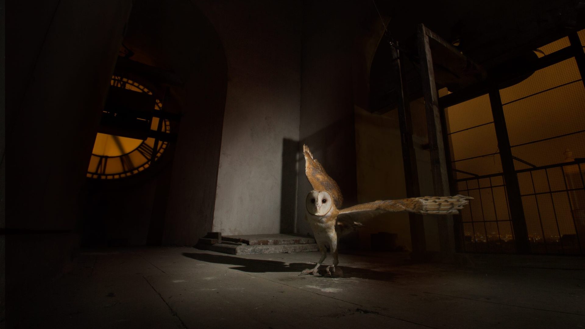 Photo: Christopher Jimenez Nature
