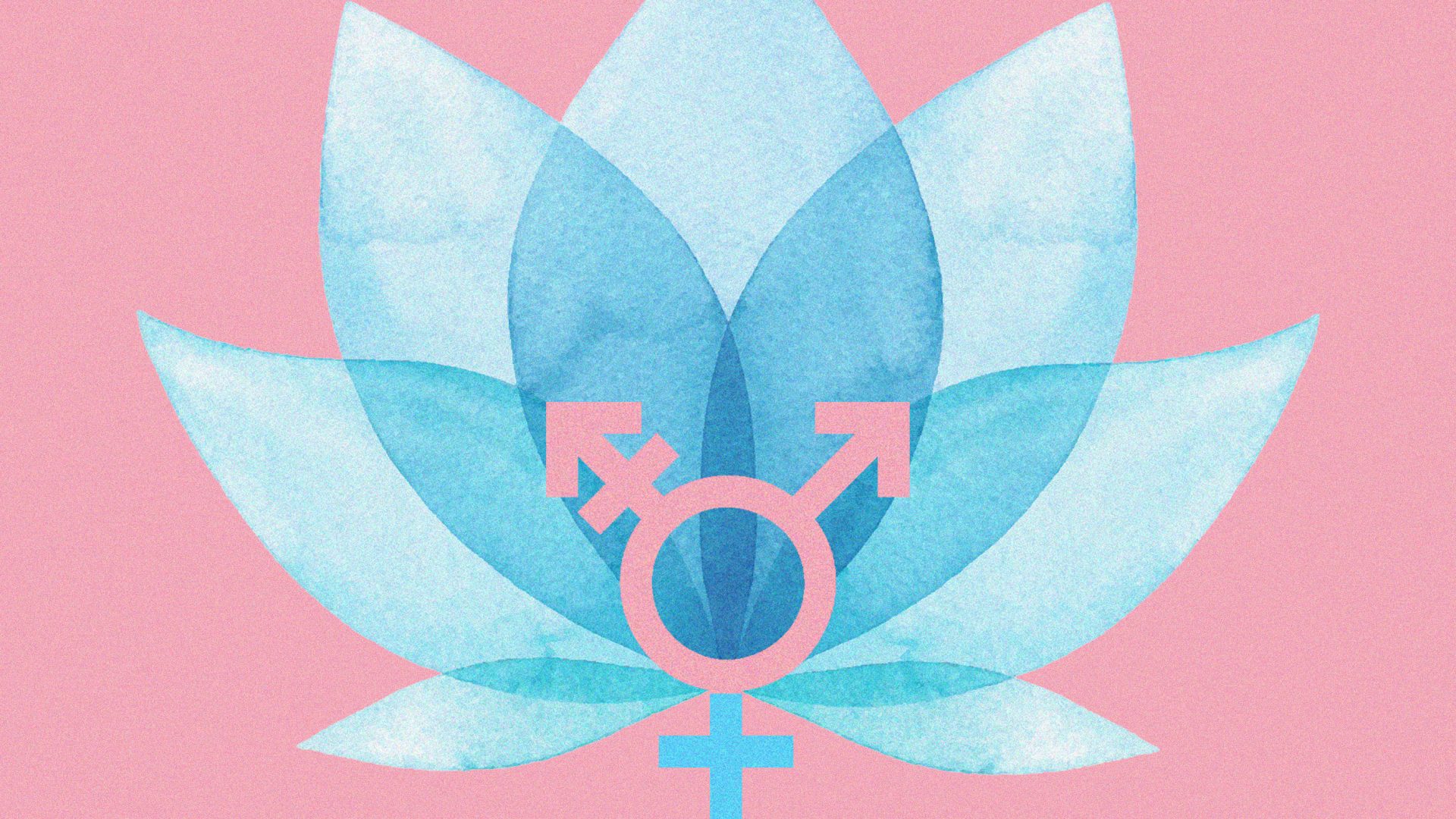 "Trans people exist and will keep existing. Their lives are as worthy as yours or mine." Image: TNE
