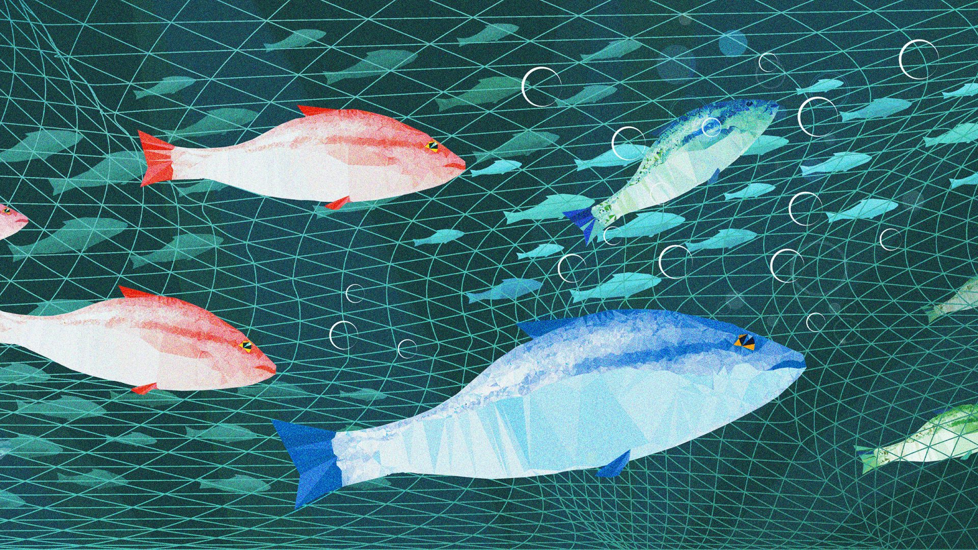 Why would powerful nations with sophisticated economies even consider scuppering a deal over fish? Image: TNE