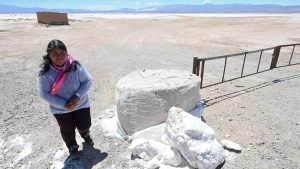 Verónica Chavez, president of the indigenous Kolla Santuario de Tres Pozos community in the northern province of Jujuy, Argentina, at the Salinas Grandes salt flat. Photo: Aizar Raldes/AFP/Getty